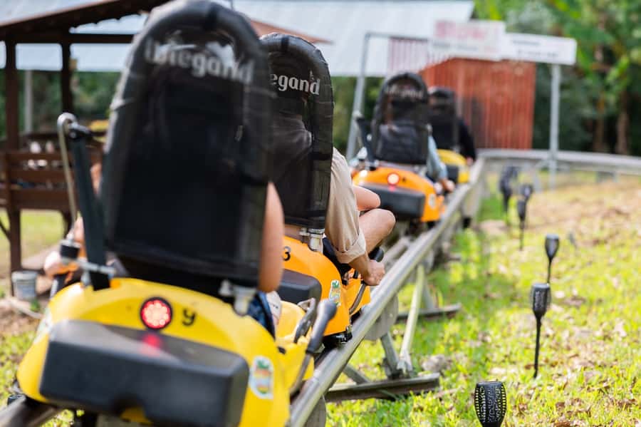 Chiang Mai: Pongyang Jungle Coaster and Zip Line Tour - Key Things To Know Before You Go