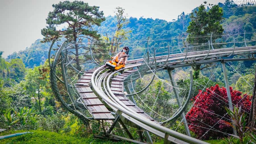 Chiang Mai: Pongyang Jungle Coaster and Zip Line Tour - Getting There: Pickup Windows and How Transfers Work