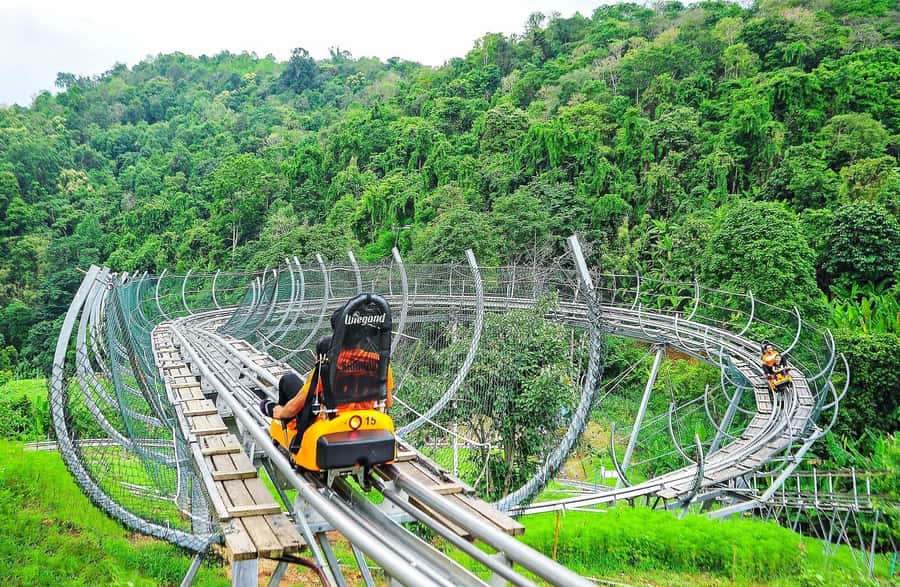 Chiang Mai : Pongyang Jungle Coaster Zipline - Pongyang Jungle Coaster Zipline in 4 hours, not a half-day project