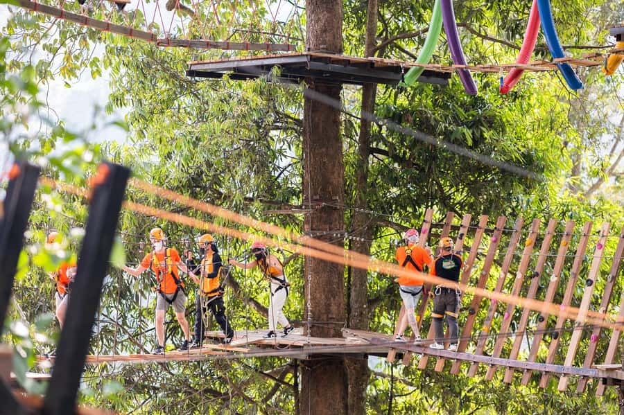 Chiang Mai: Pongyang Jungle Coaster & Zipline with Transfer - Transfers, Timing, and the One Rule That Avoids Problems