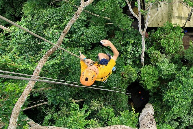 Chiang Mai Pongyang Jungle Zipline Adventure with Hotel Pickup - Lunch Is Included: Planning Your Food Like a Pro