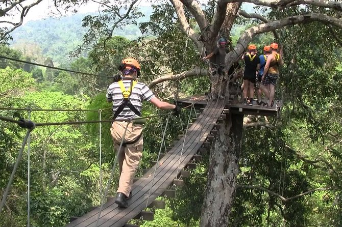 Chiang Mai Pongyang Jungle Zipline Adventure with Hotel Pickup - The Transfers, the Guide, and Small-Group Timing
