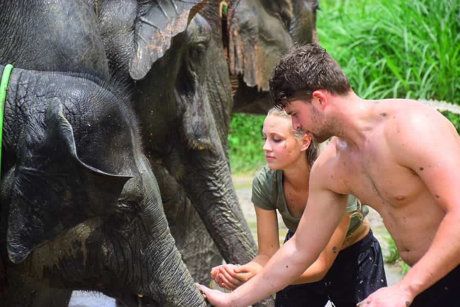 Chiang Mai: Private Elephant Care Experience for Couples - A Private Couples Day with Rescued Elephants at Elephant Retirement Park