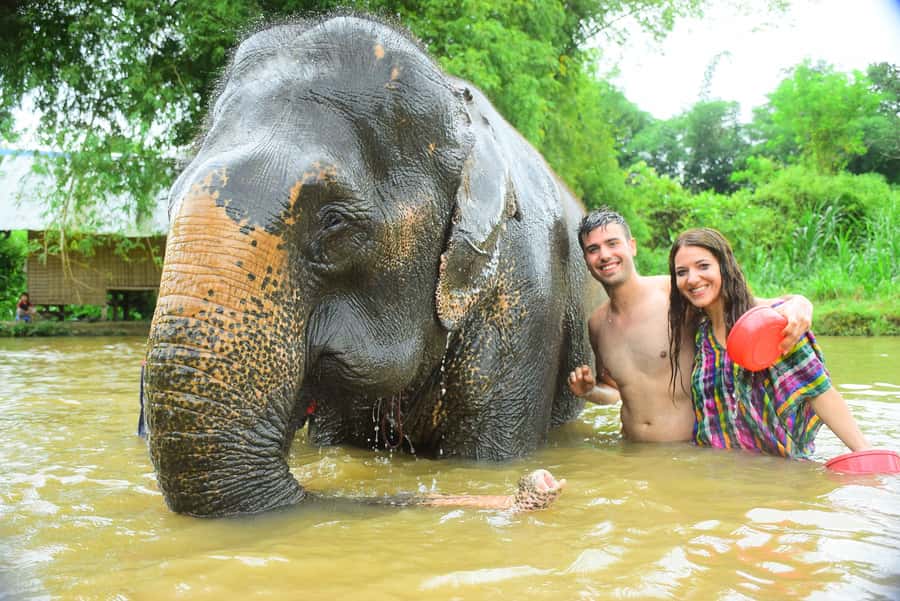 Chiang Mai: Private Elephant Care Experience for Couples - Meet the Elephants: Healthy Treats, Feeding, and Up-Close Calm