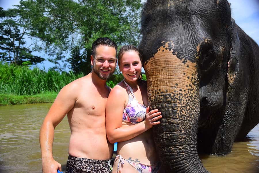 Chiang Mai: Private Elephant Care Experience for Couples - Hotel Pickup and the Ride into Chiang Mai’s Elephant Country