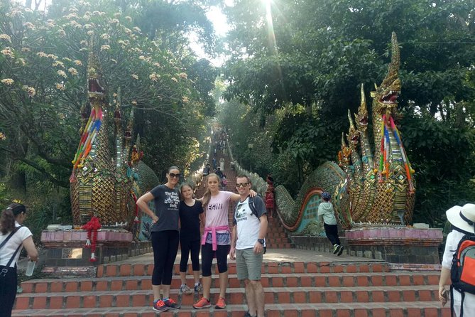 Chiang Mai Private Tour with Tea Plantation, Karen Village, Doi Suthep - Who this tour suits best, and who might want something else