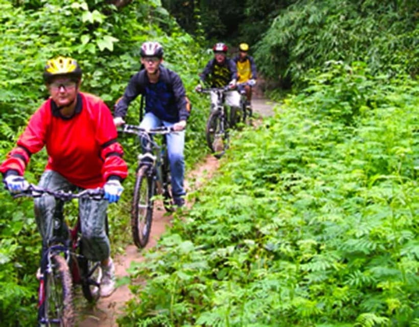Chiang Mai: Rainforest Guided Mountain Biking Tour - Key things to know before you book