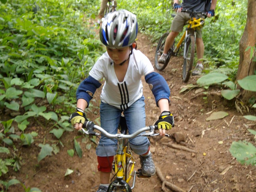 Chiang Mai: Rainforest Guided Mountain Biking Tour - Price and value: $62 for a guided half-day you can actually plan around