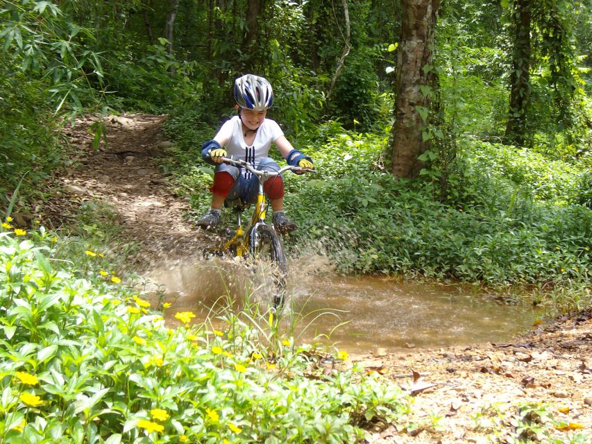 Chiang Mai: Rainforest Guided Mountain Biking Tour - Weather reality: rain or shine, plus what to pack for wet trails