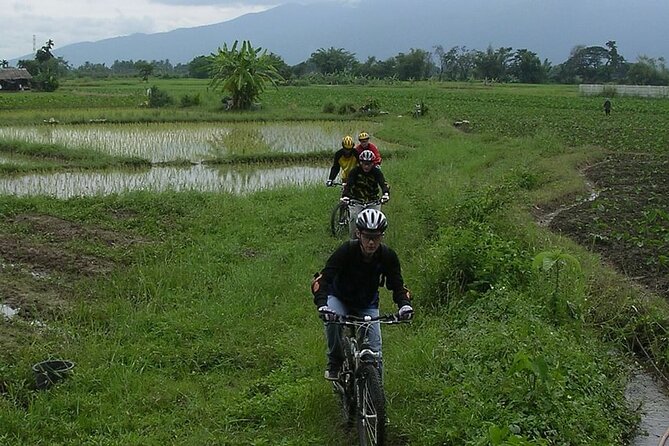 Chiang Mai Rice Fields Biking Tour - Off-road moments: fun, but still guided and controlled