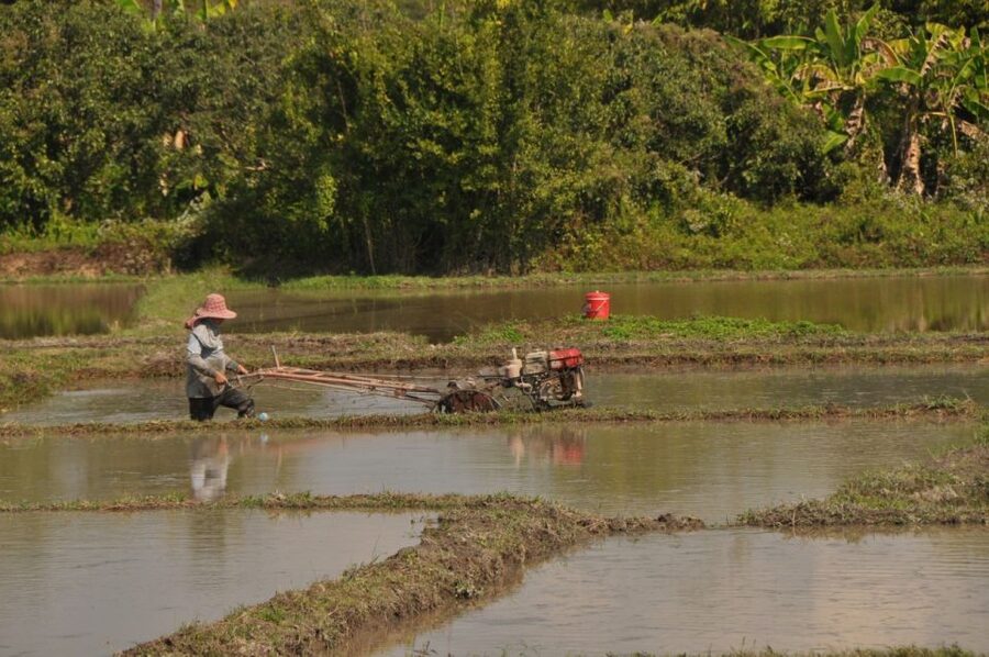 Chiang Mai: Rural Explorer Cycling Tour - What to bring so the day feels easy