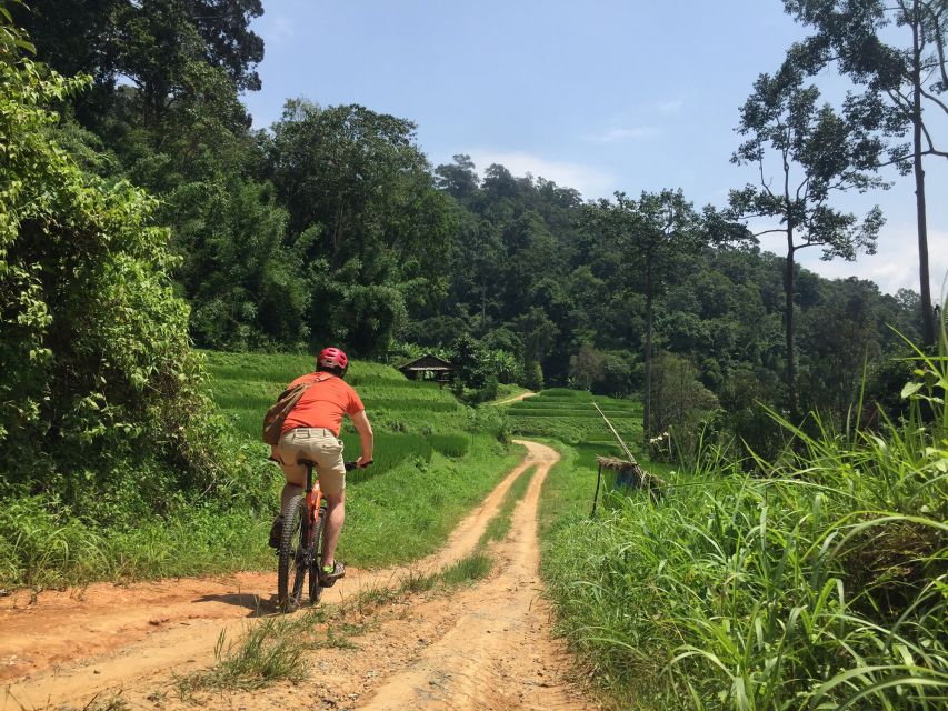 Chiang Mai: Rural Explorer Cycling Tour - Route style: quiet back roads, dirt dual tracks, and hill country
