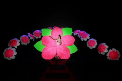 Siam Dragon Cabaret Show with Optional Transfer