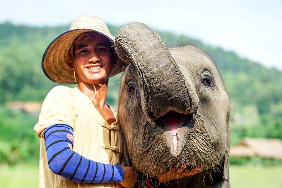 Chiang Mai: Small Group Ethical Elephant Sanctuary Tour - Feeding and Herbal Vitamin Balls: A Real Care Activity, Not a Petting Show