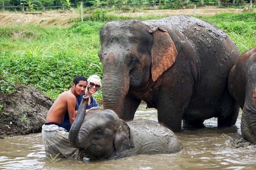 Chiang Mai: Small Group Ethical Elephant Sanctuary Tour - Mud Bath and River Bathing: Why the Water Time Is More Than Fun
