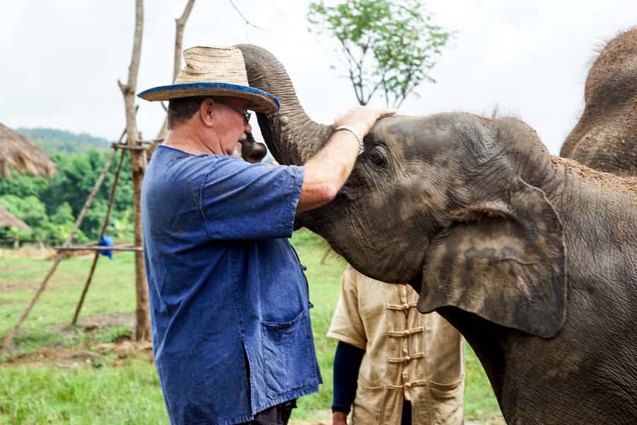 Chiang Mai: Small Group Ethical Elephant Sanctuary Tour - Who This Tour Suits Best (and a Few Who Might Hesitate)