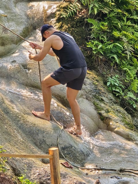 Chiang Mai:Sticky Watefall private tour with lunch - The Half-Day Schedule, From Pickup to Back in Chiang Mai