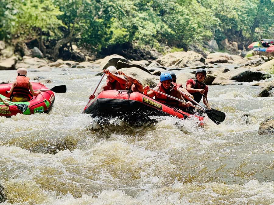 Chiang Mai: Sticky Waterfall and Rafting Day Trip - Bamboo Rafting Through Nature: Slower Water, Elephant Chances, Big Relax Energy