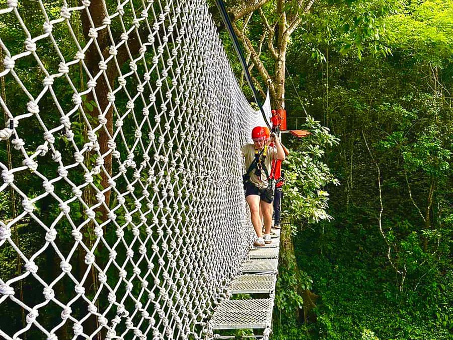 Chiang Mai: Sticky Waterfall and Zipline Adventure Day Trip - Lunch in Mae Taeng: Fueling Up Before the Limestone Adventure