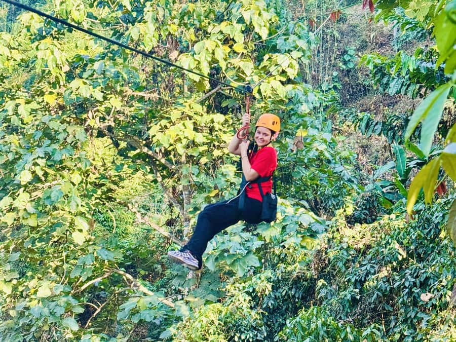 Chiang Mai: Sticky Waterfall and Zipline Adventure Day Trip - Zipline Over the Jungle Canopy: Real Thrill Time, Not a Token Ride