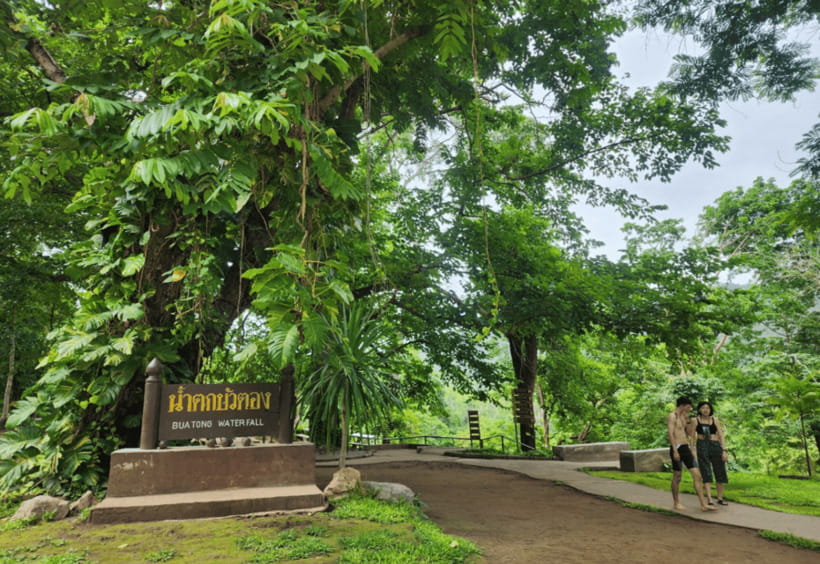 Chiang Mai: Sticky Waterfall, Bua Tong Cave Join Tour - Your Time Window: Flexible Start Times That Avoid the Heat