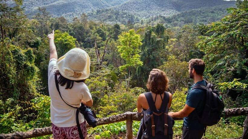 Chiang Mai: Sticky Waterfall, Chet Si Fountain Park Transfer - Bua Thong Stop: Photos, Free Time, and Real Climbing Time