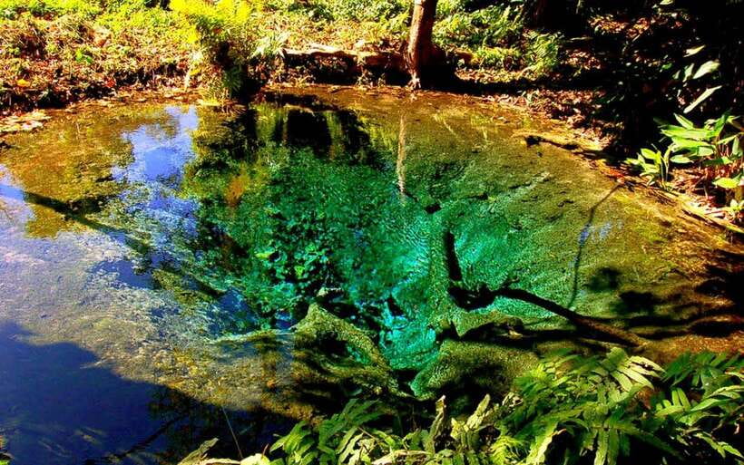 Chiang Mai: Sticky Waterfall, Chet Si Fountain Park Transfer - Getting to Bua Thong: The 5-Hour Small Group Transfer