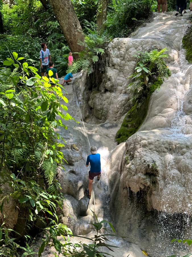Chiang Mai : Sticky waterfall (Half Day Tour) Hotel Transfer - Cost and Value: Is $19 a Good Deal?