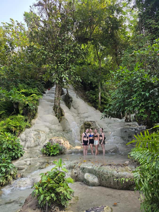 Chiang Mai : Sticky waterfall (Half Day Tour) Hotel Transfer - Who Should Book This Tour, and Who Should Skip It