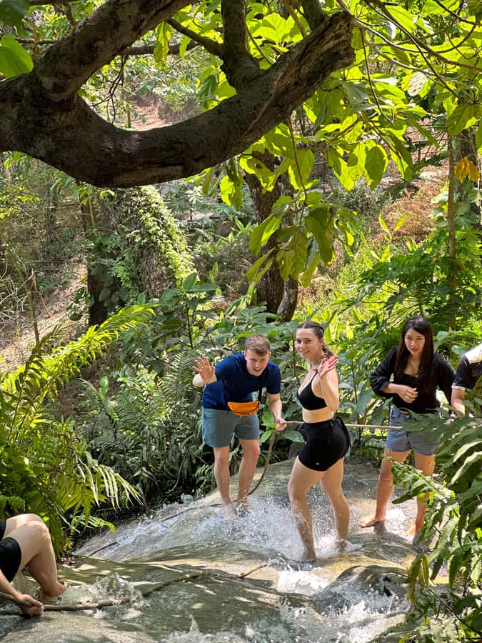 Chiang Mai : Sticky waterfall (Half Day Tour) Hotel Transfer - Language and Provider Notes That Affect Your Day