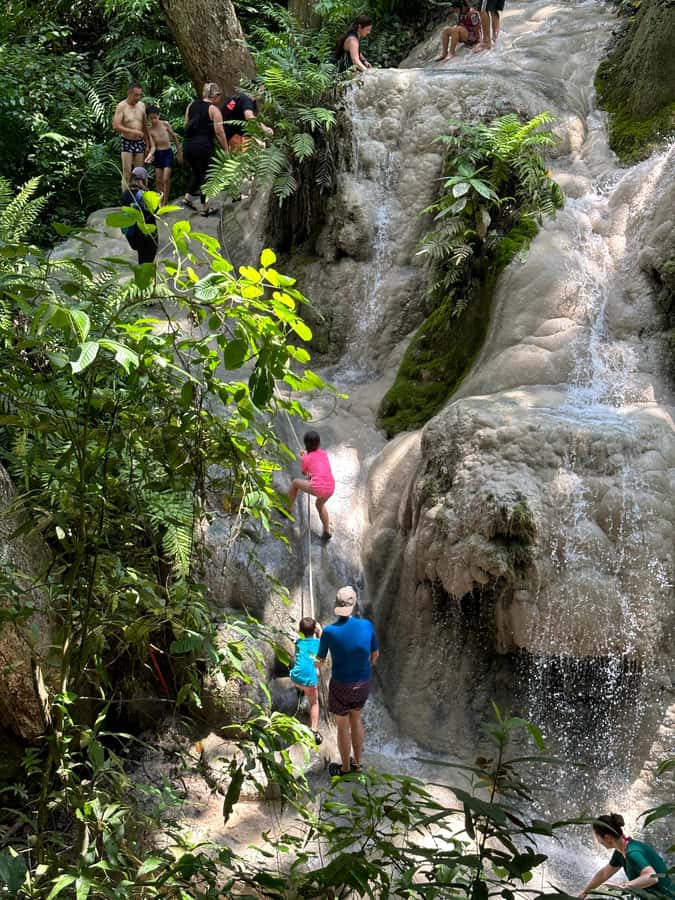 Chiang Mai : Sticky waterfall (Half Day Tour) Hotel Transfer - Hotel Pickup by Air-Conditioned Van, and Where to Meet