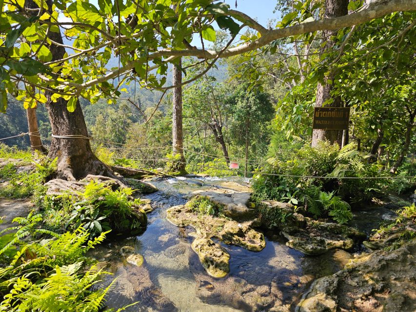 Chiang Mai: Sticky Waterfall Half-Day Tour & Hotel Transfers - Key points before you go