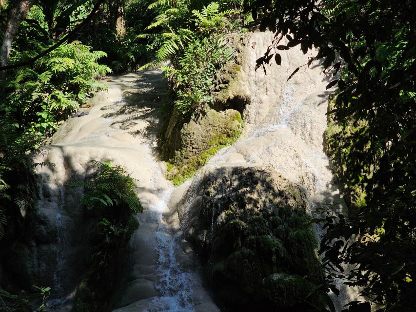 Chiang Mai: Sticky Waterfall Half-Day Tour & Hotel Transfers - Timing in Chiang Mai: morning vs afternoon reality check