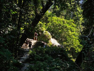 Sticky Waterfall Half-Day Tour & Hotel Transfers