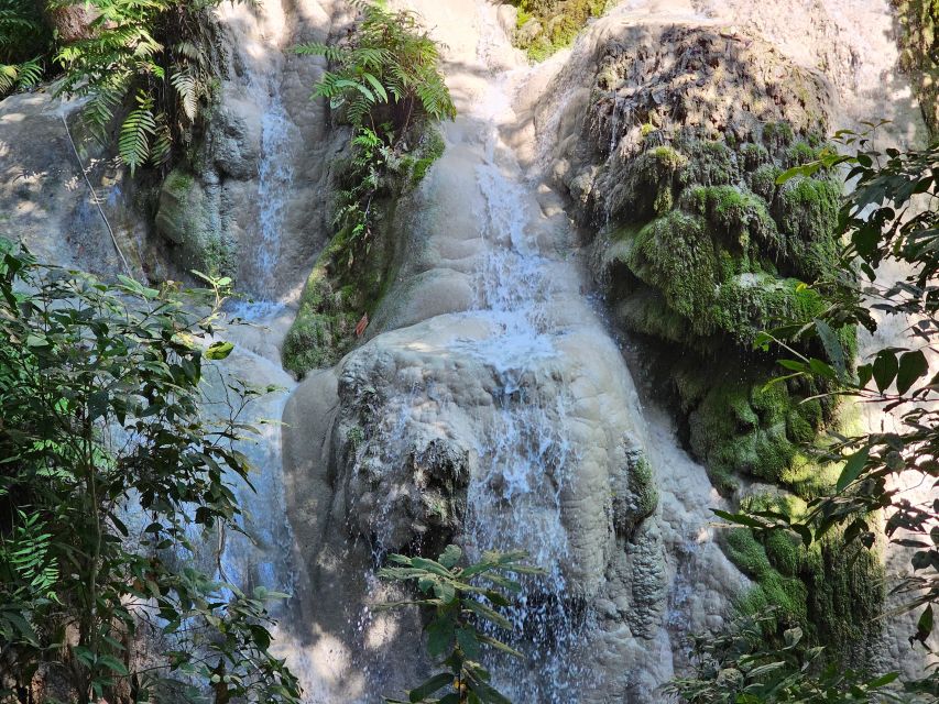 Chiang Mai: Sticky Waterfall Half-Day Tour & Hotel Transfers - The on-site plan: making the most of your two hours