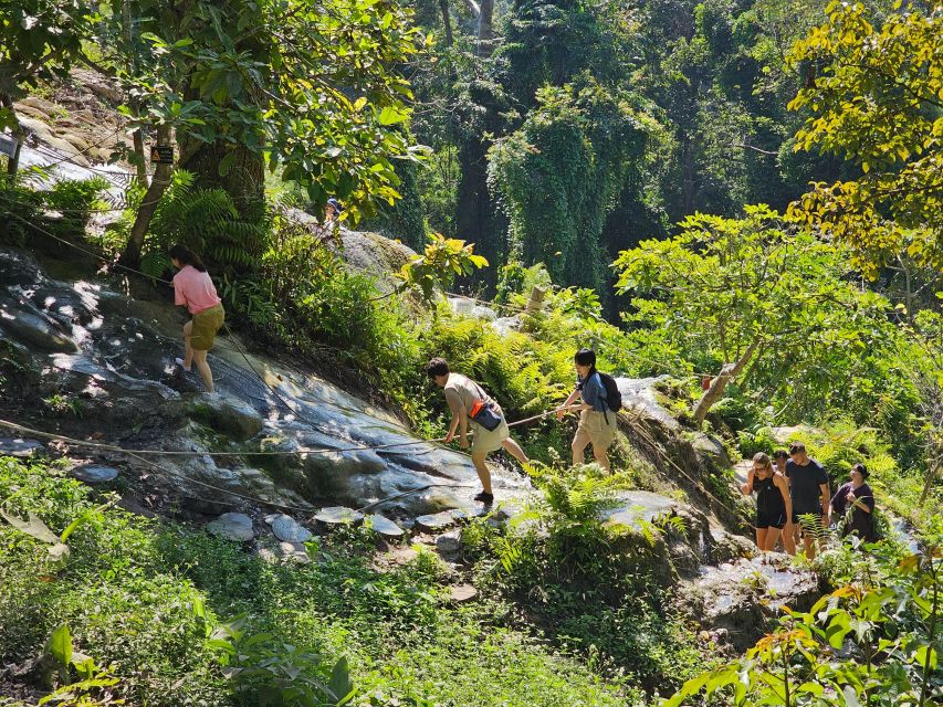 Chiang Mai: Sticky Waterfall Half-Day Tour & Hotel Transfers - What’s included in the $30 price, and what you supply
