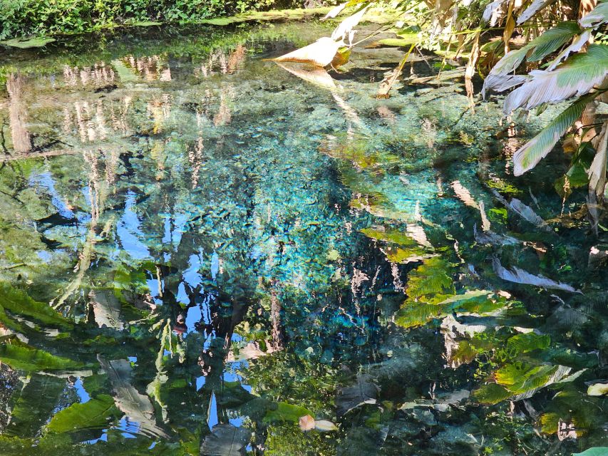 Chiang Mai: Sticky Waterfall Half-Day Tour & Hotel Transfers - Who this half-day trip is perfect for