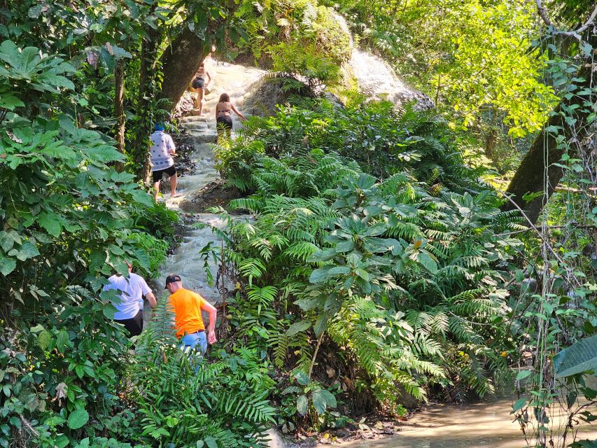 Chiang Mai: Sticky Waterfall Half-Day Tour & Hotel Transfers - Possible drawbacks: things to weigh before you book