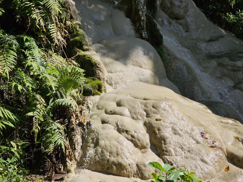 Chiang Mai: Sticky Waterfall Half-Day Tour & Hotel Transfers - Should you book Chiang Mai Sticky Waterfall with transfers?