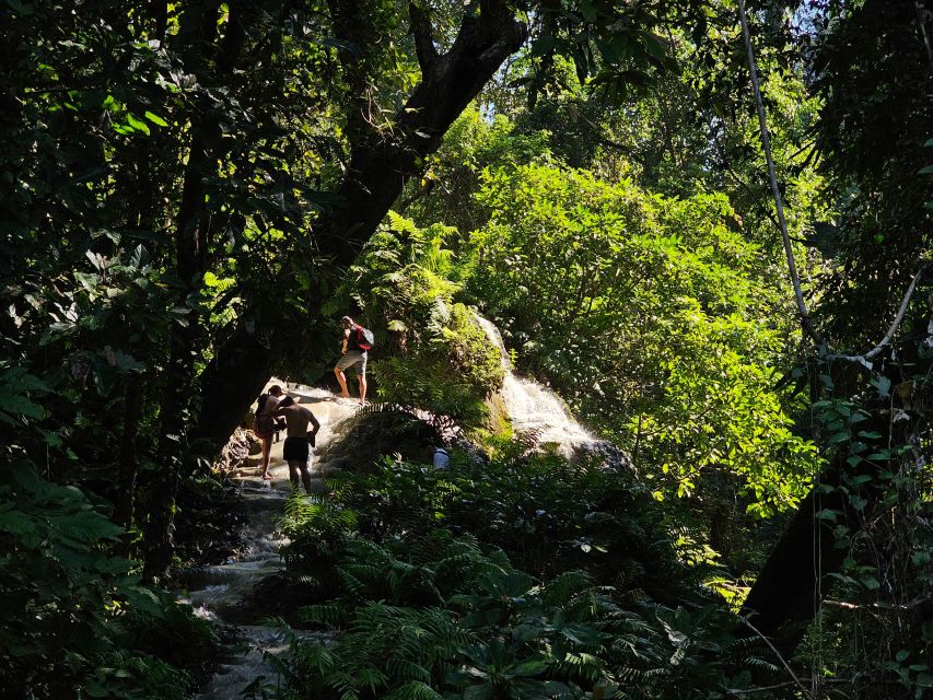 Chiang Mai: Sticky Waterfall Half-Day Tour & Hotel Transfers - Si Lanna National Park: where nature adds more than scenery