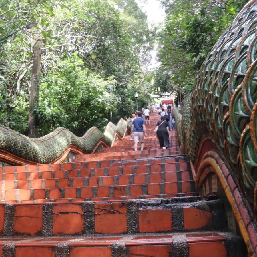 Chiang Mai Sunset Point,Wat Pha Lat,Wat Doi Suthep,Wat Umong - Key Points You Should Know Before You Go