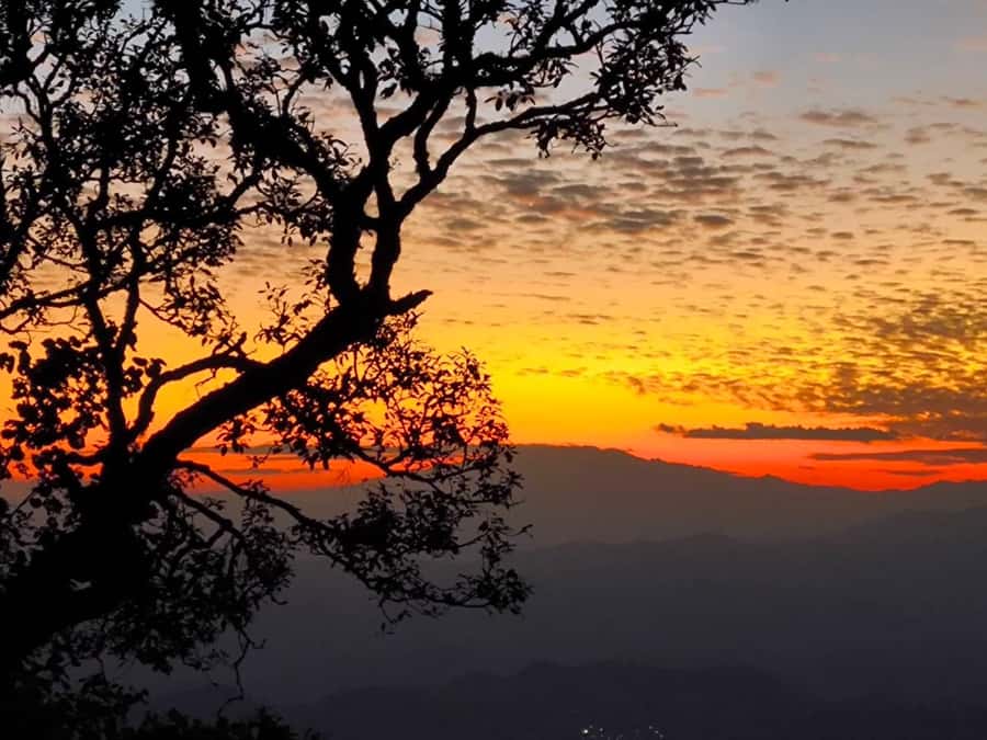 Chiang Mai Sunset Point,Wat Pha Lat,Wat Doi Suthep,Wat Umong - The Value of a Temple-to-Sunset Day in Chiang Mai