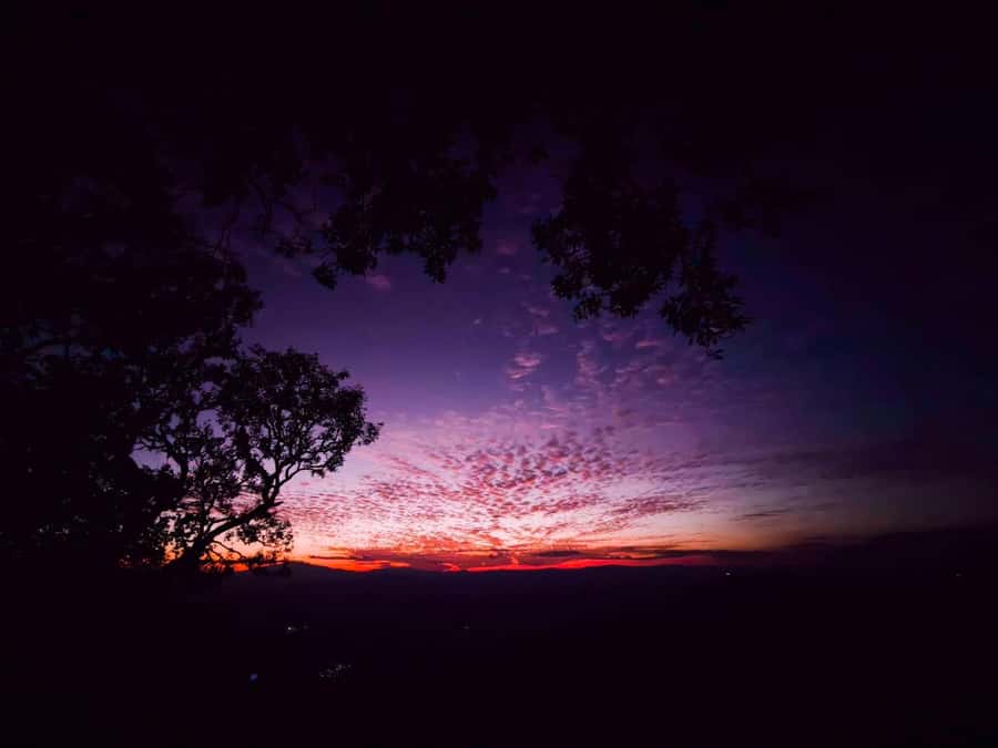Chiang Mai Sunset Point,Wat Pha Lat,Wat Doi Suthep,Wat Umong - Logistics, Comfort, and What to Bring (So You Enjoy It)
