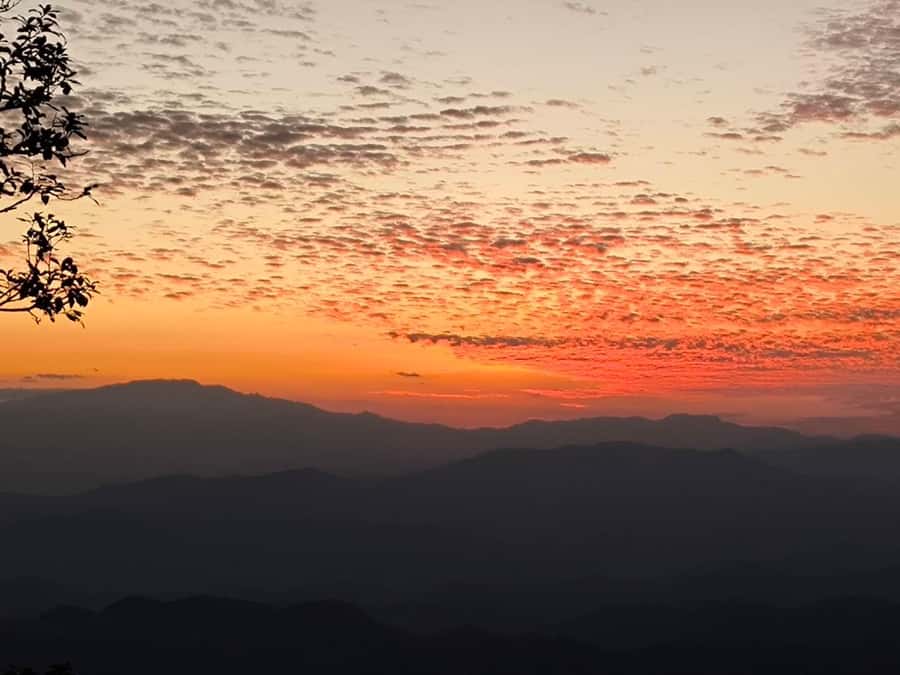 Chiang Mai Sunset Point,Wat Pha Lat,Wat Doi Suthep,Wat Umong - Who This Tour Is Best For (And Who Should Skip It)