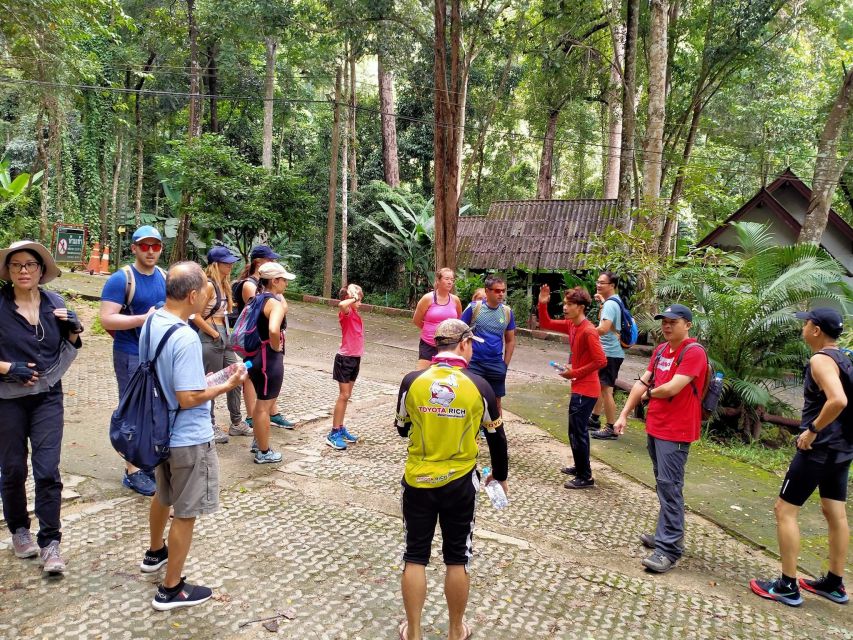 Chiang Mai: Suthep National Park Hiking & DH Mountain Biking - What You Actually Do: Climb, Lunch, Then Ride Like You Mean It