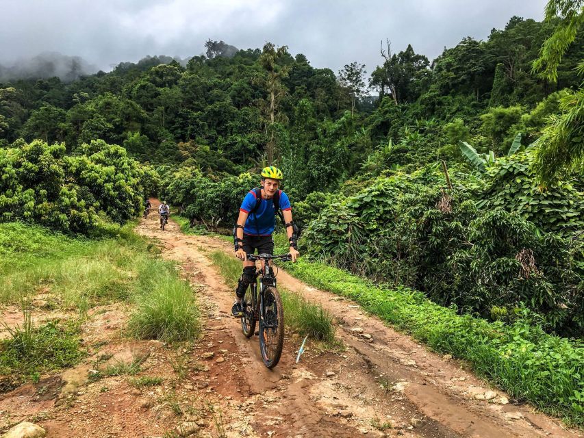Chiang Mai: Suthep National Park Hiking & DH Mountain Biking - Price and Value: Why $62 Can Make Sense Here