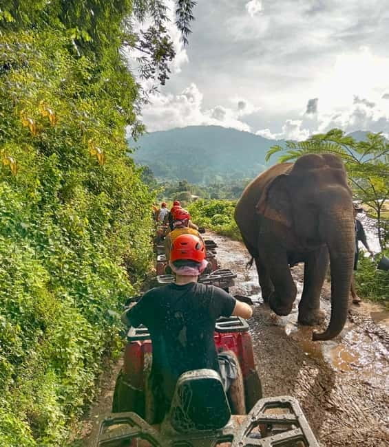 Chiang Mai: Tarzan ATV Ride Optional Zipline & Elephant Tour - Key things to know before you go