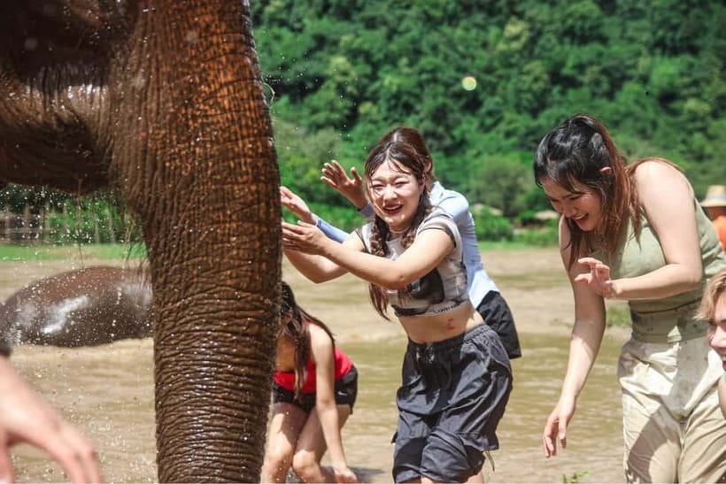 Chiang Mai: Tarzan ATV Ride Optional Zipline & Elephant Tour - Your Options: ATV-Only vs 19 Or 39 Platform Combos