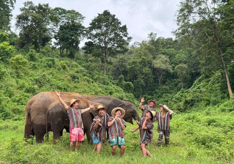 Chiang Mai | TeeTee Elephant Home Elephant Care Half-Day - Key highlights you will actually feel