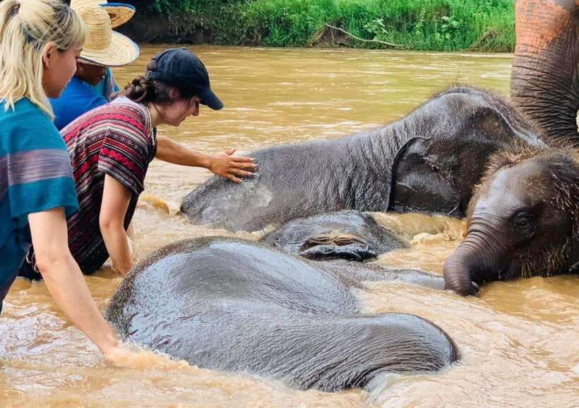 Chiang Mai | TeeTee Elephant Home Elephant Care Half-Day - Getting from Chiang Mai to Kuet Chang district takes planning